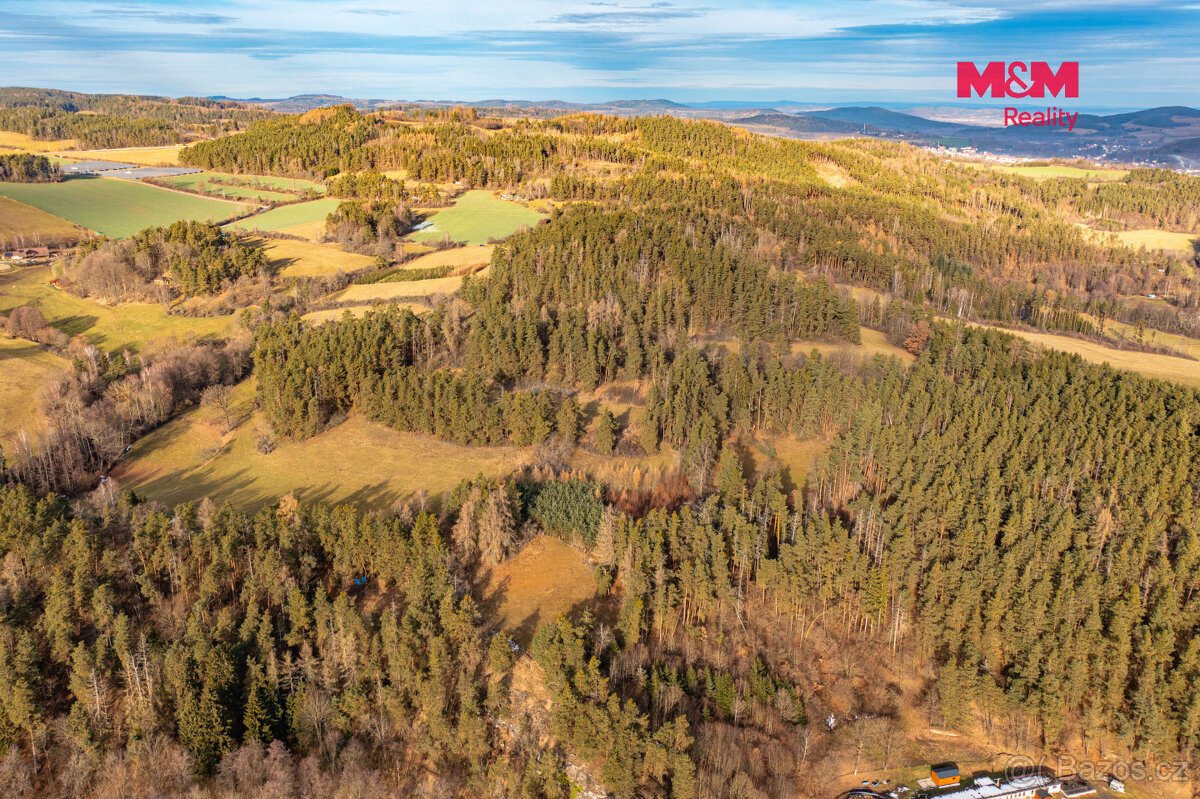Prodej lesa, 13448 m², Malenice