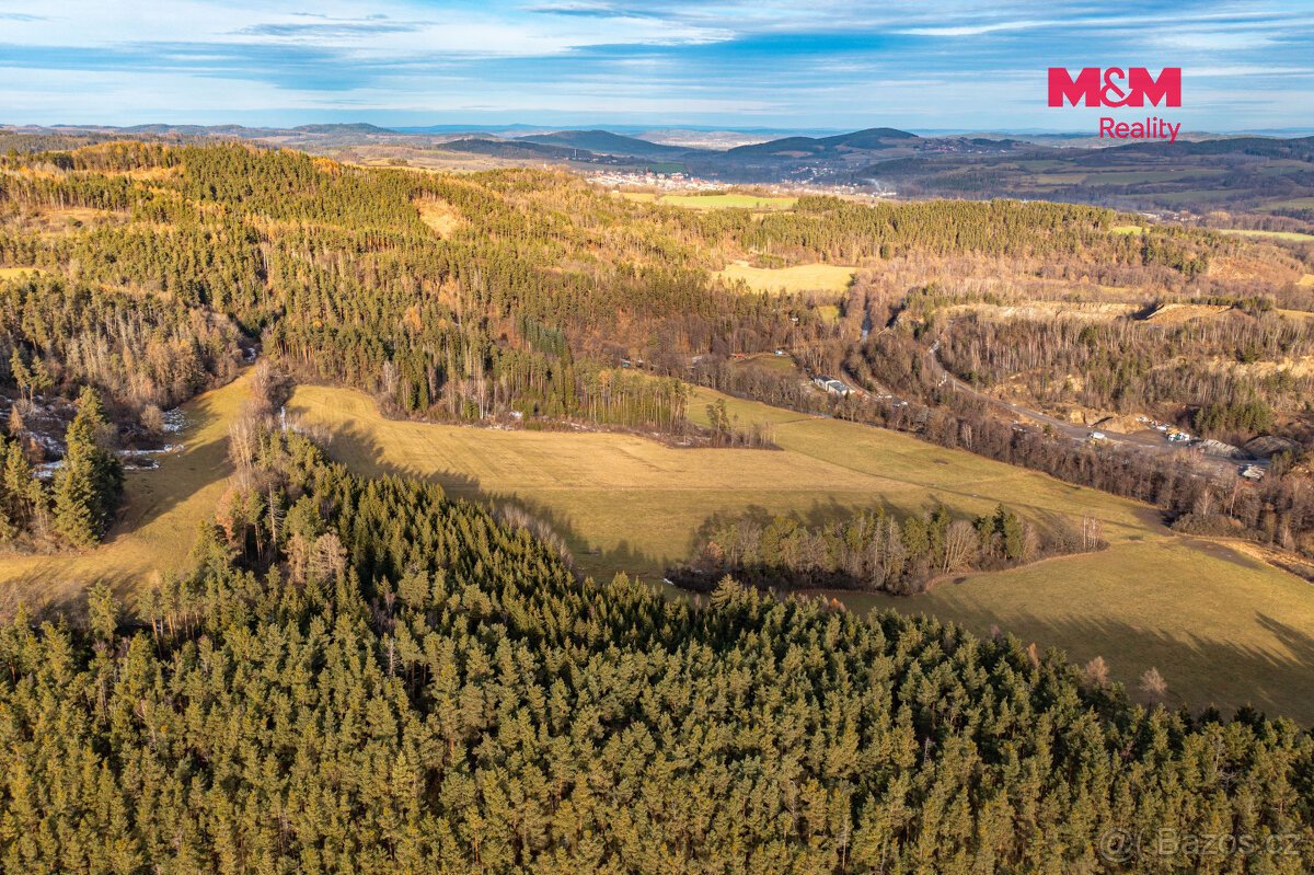 Prodej lesa, 13448 m², Malenice