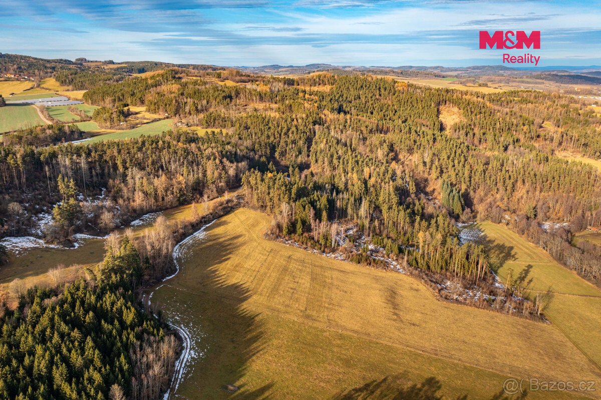Prodej lesa, 13448 m², Malenice