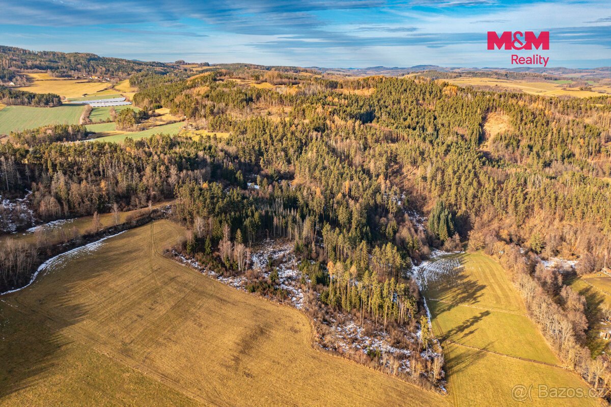 Prodej lesa, 13448 m², Malenice
