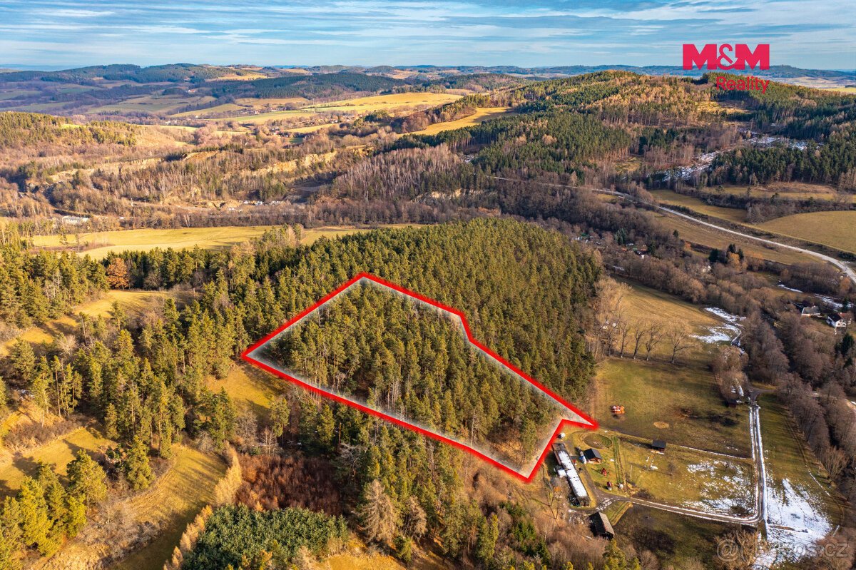 Prodej lesa, 13448 m², Malenice
