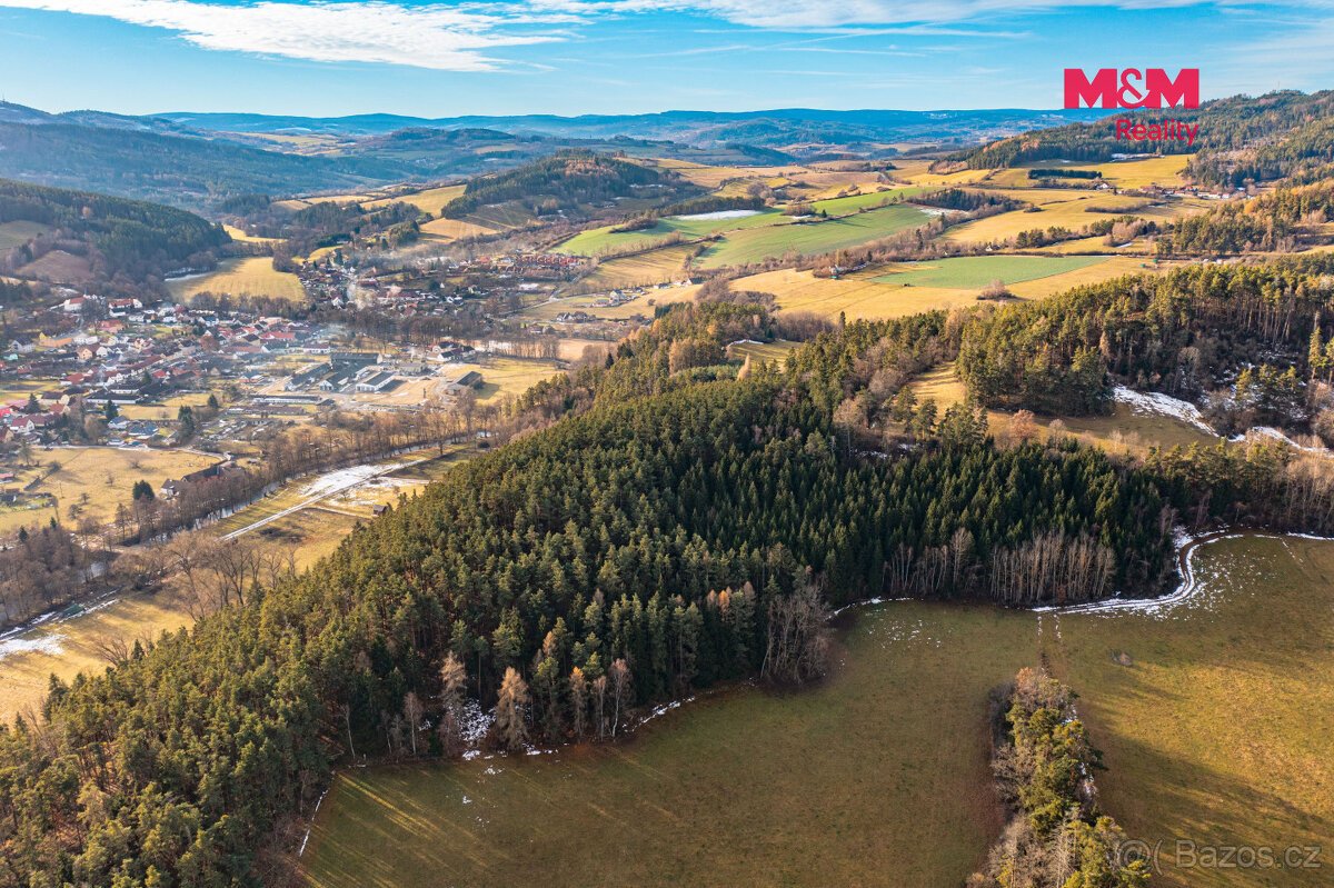 Prodej lesa, 13448 m², Malenice