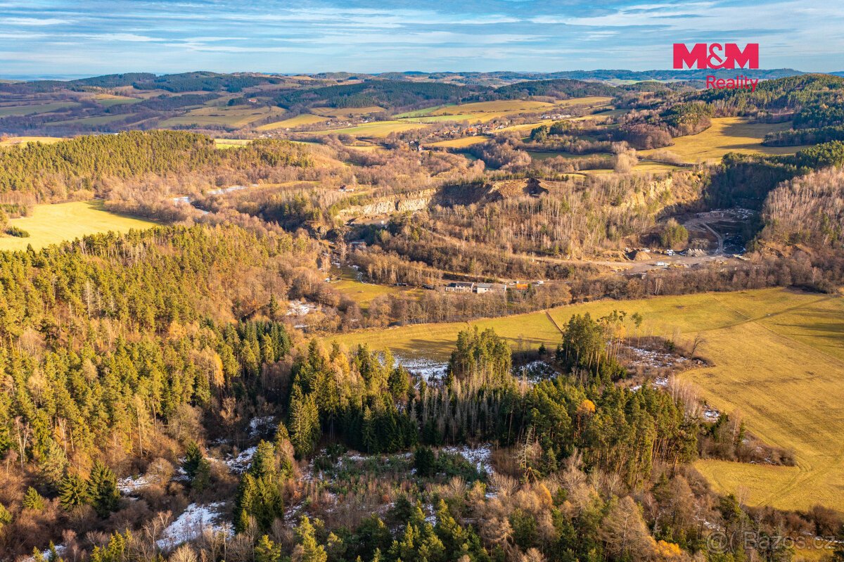 Prodej lesa, 13448 m², Malenice