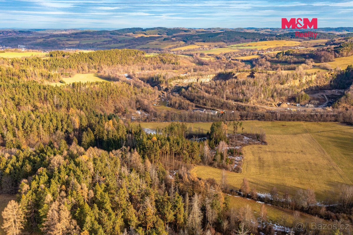 Prodej lesa, 13448 m², Malenice