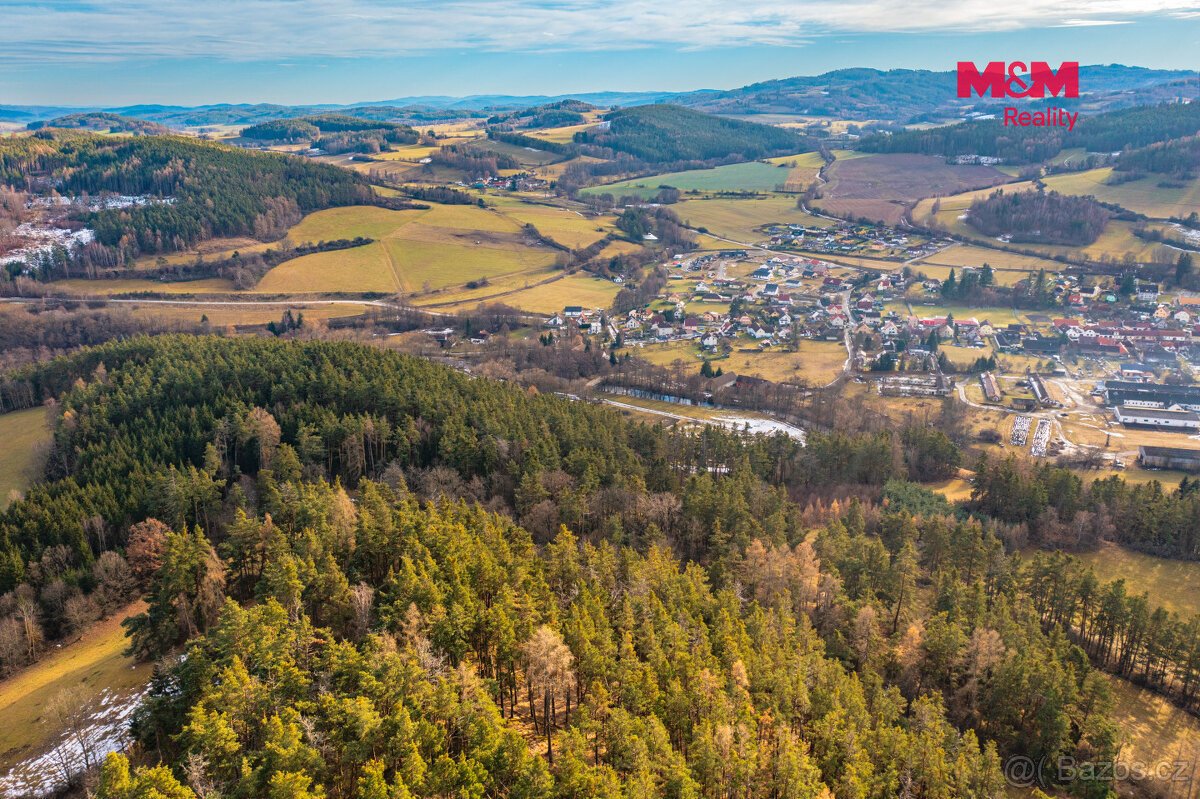 Prodej lesa, 13448 m², Malenice
