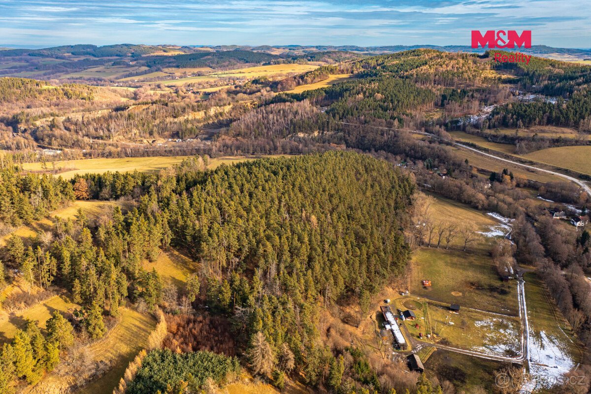 Prodej lesa, 13448 m², Malenice