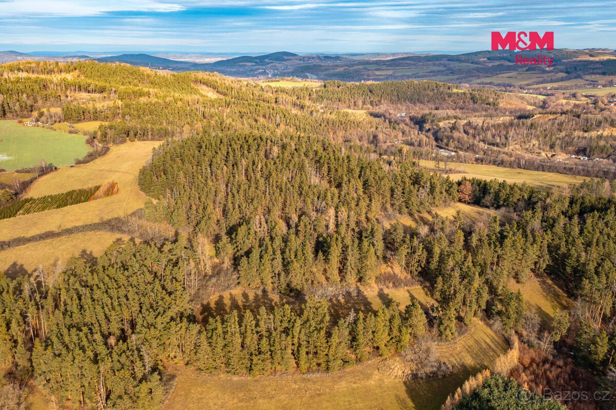 Prodej lesa, 13448 m², Malenice