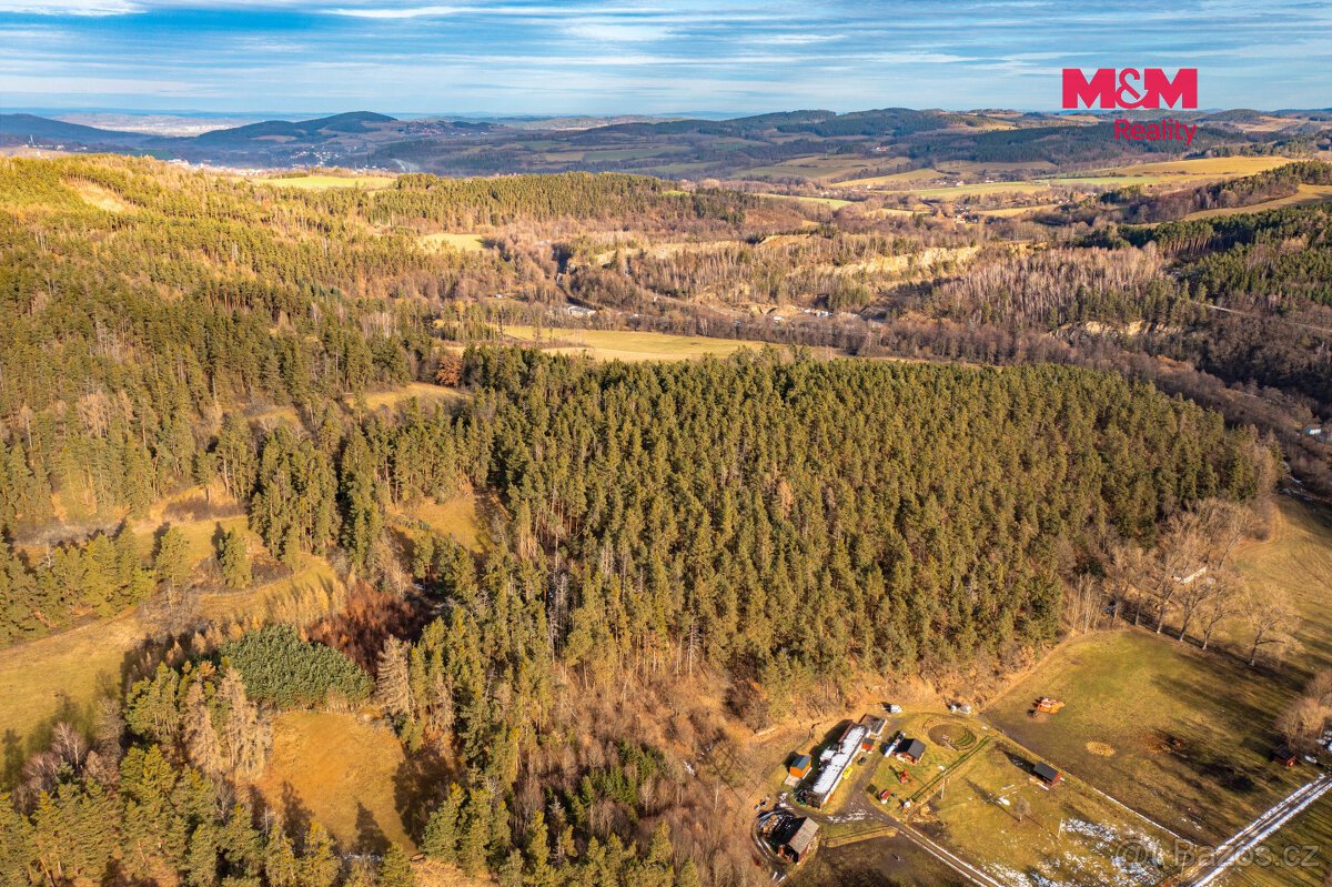 Prodej lesa, 13448 m², Malenice