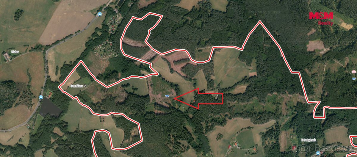 Prodej lesa, 37567 m², Vacovice