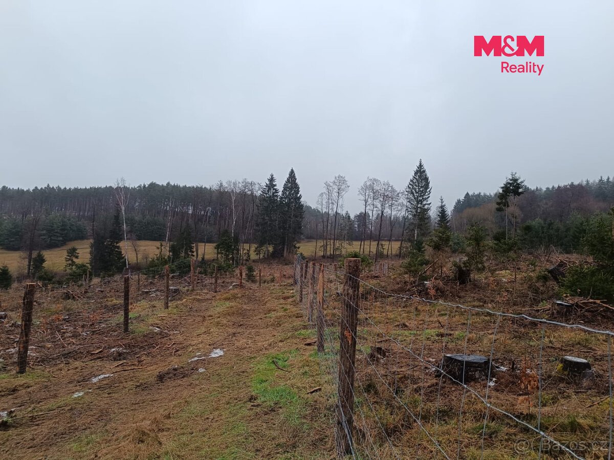 Prodej lesa, 37567 m², Vacovice