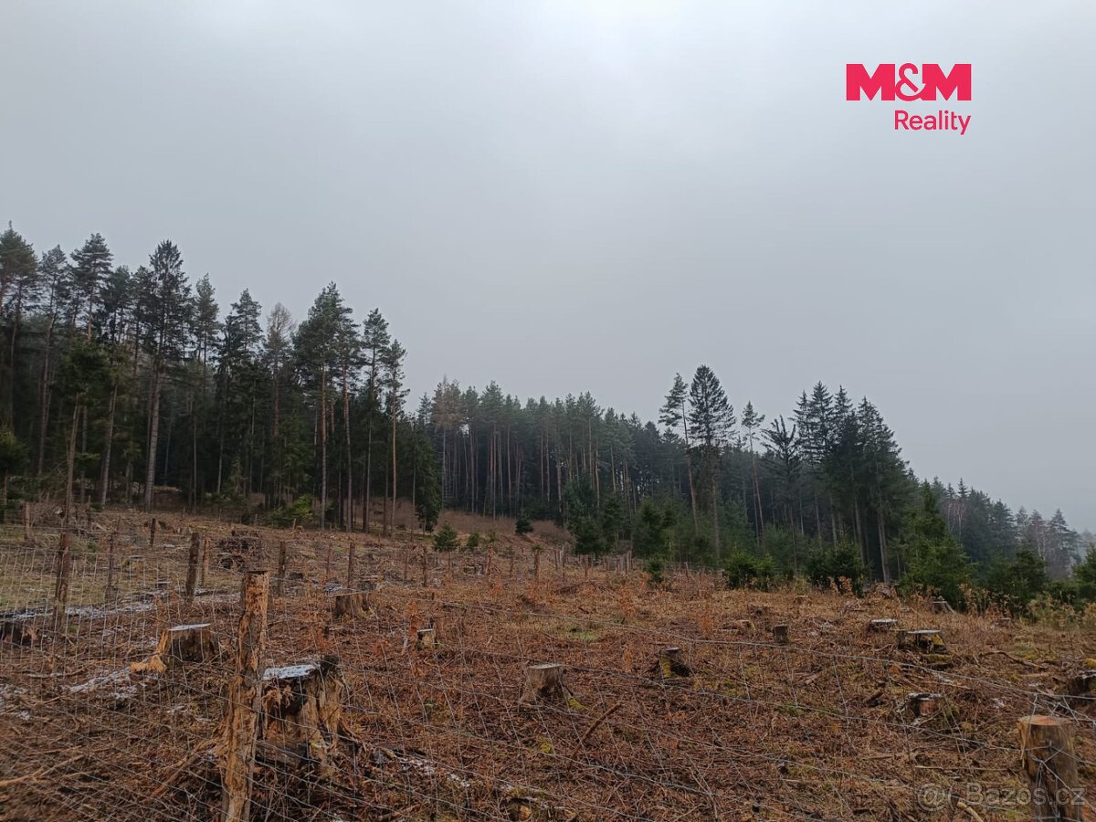 Prodej lesa, 37567 m², Vacovice