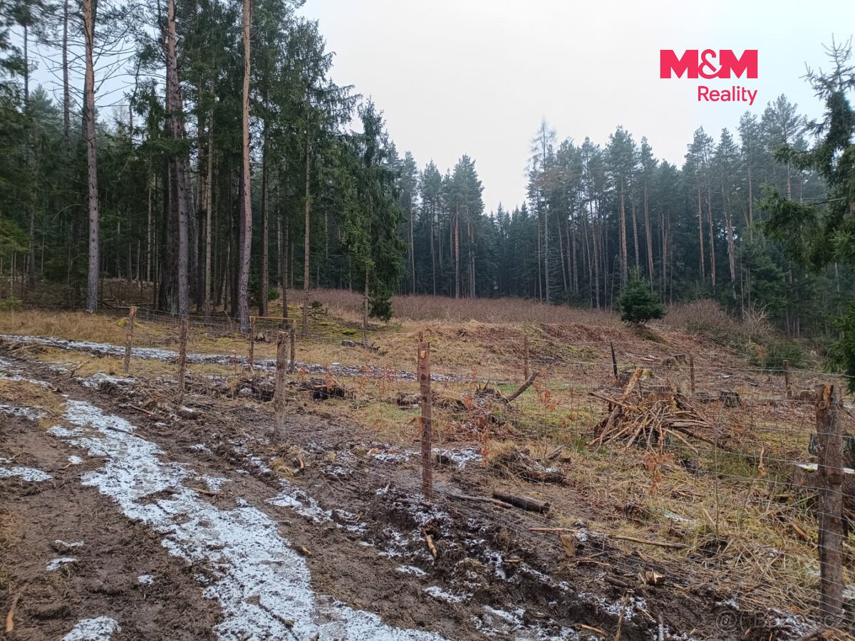 Prodej lesa, 37567 m², Vacovice