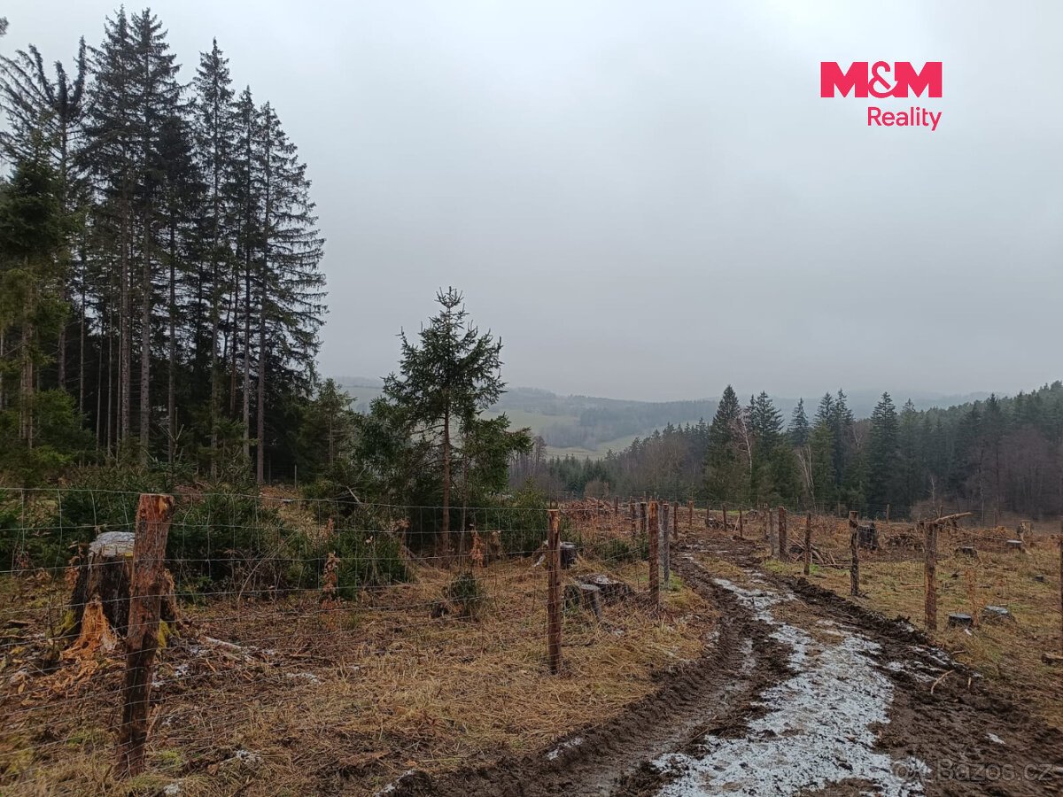 Prodej lesa, 37567 m², Vacovice