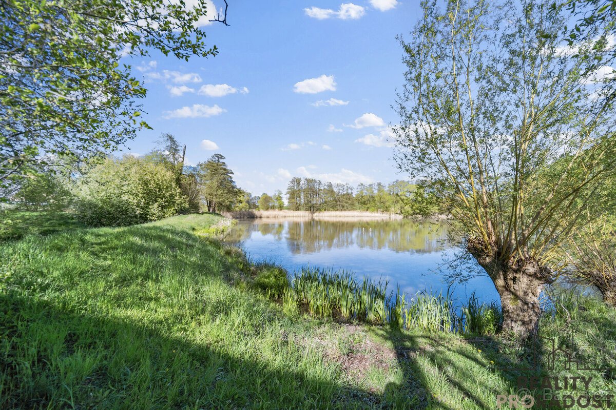 Prodej pozemku, Louka - Vrbatův Kostelec