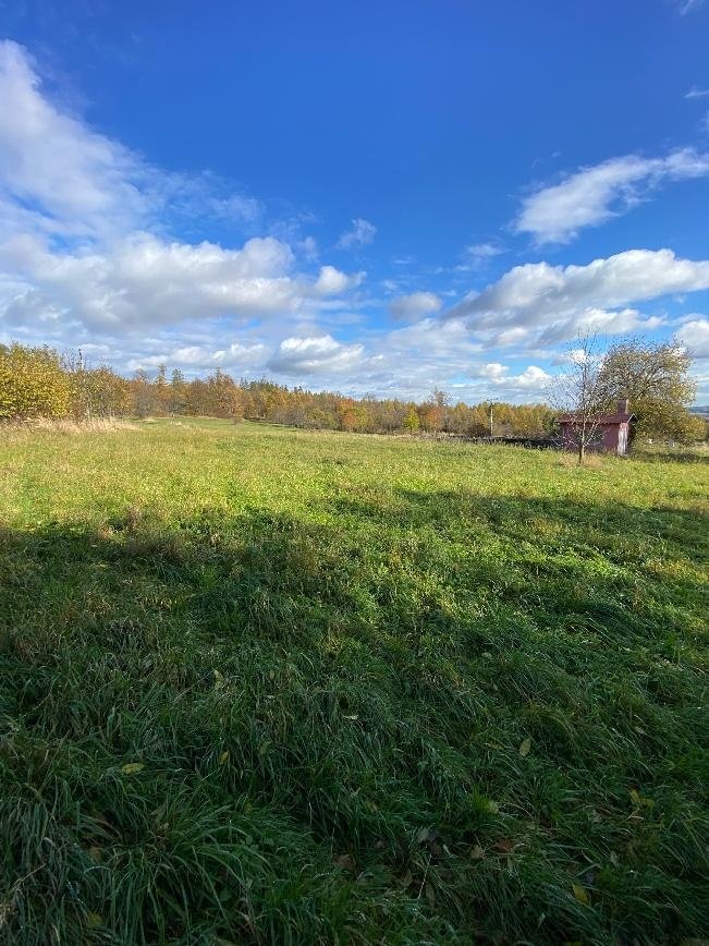 Stavební pozemek Město Albrechtice - Źáry
