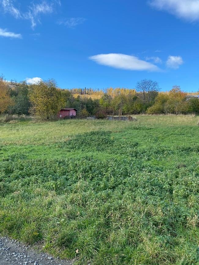Stavební pozemek Město Albrechtice - Źáry