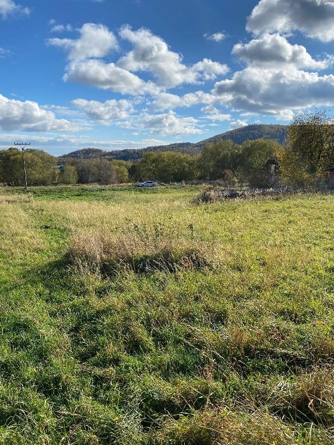 Stavební pozemek Město Albrechtice - Źáry