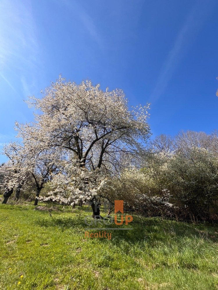 Prodej stavebního pozemku 7 156 m², Rožmitál na Šumavě - Hně