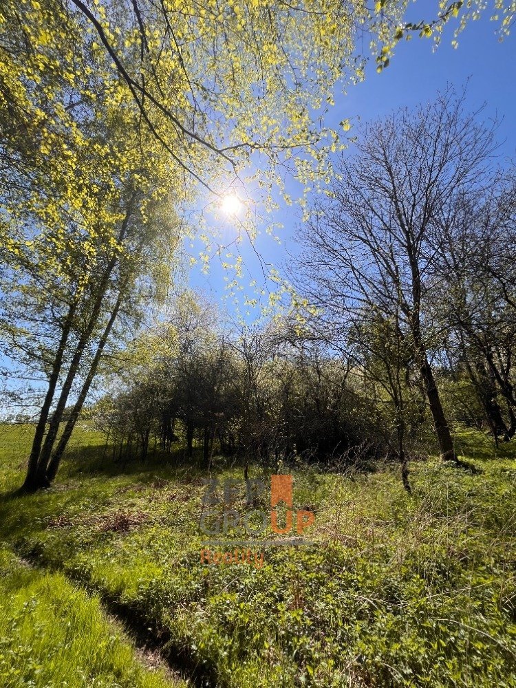 Prodej stavebního pozemku 7 156 m², Rožmitál na Šumavě - Hně