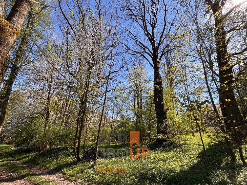 Prodej stavebního pozemku 7 156 m², Rožmitál na Šumavě - Hně