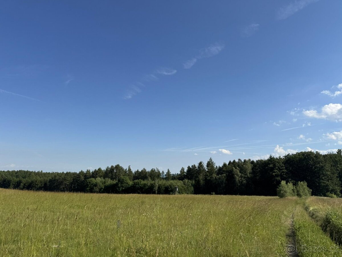 Prodej lesních pozemků k.ú. Jestřebí u Zábřeha