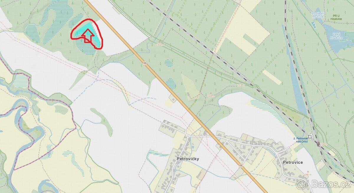 Prodej lesního pozemku k.ú. Petrovice nad Orlicí (2)