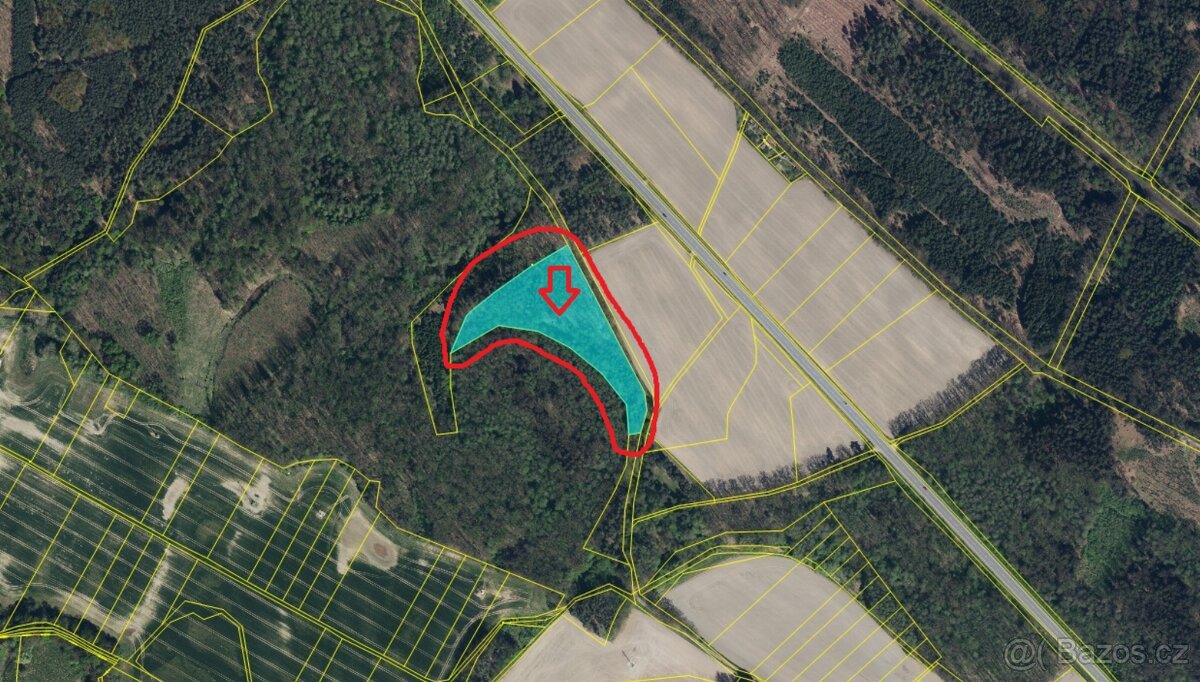 Prodej lesního pozemku k.ú. Petrovice nad Orlicí (2)