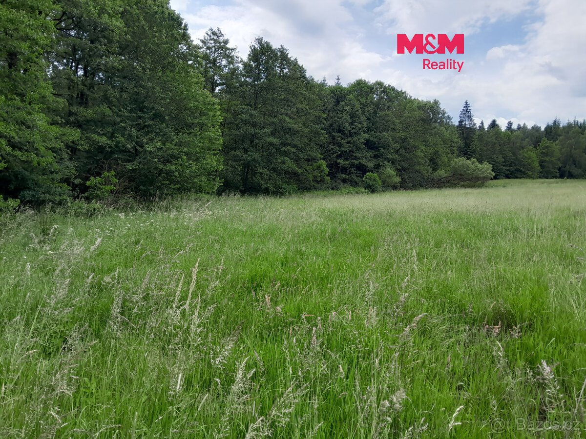 Prodej louky, 19732 m², Oselce