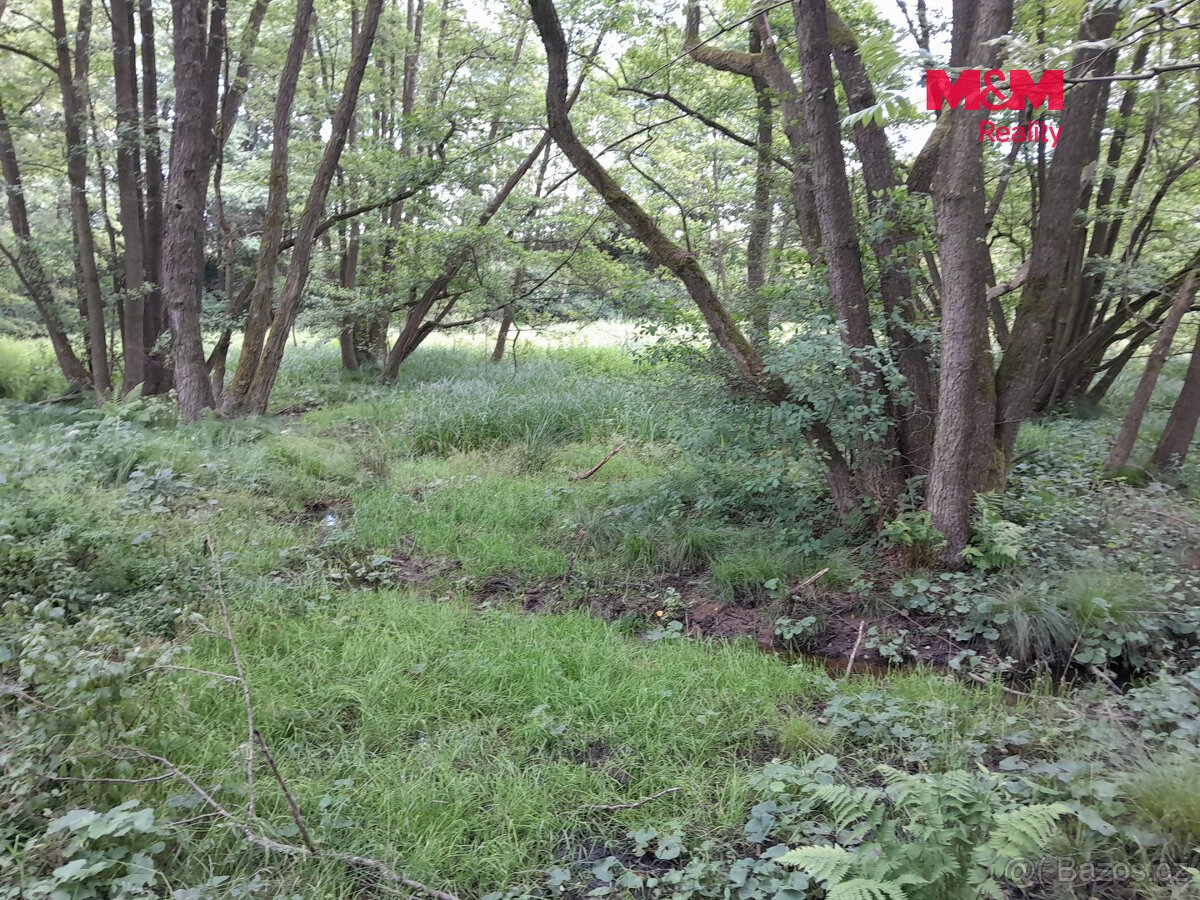 Prodej louky, 19732 m², Oselce
