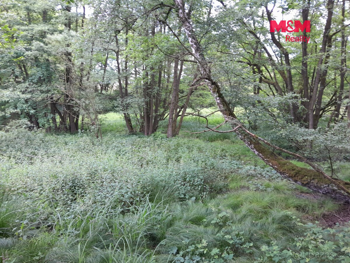 Prodej louky, 19732 m², Oselce