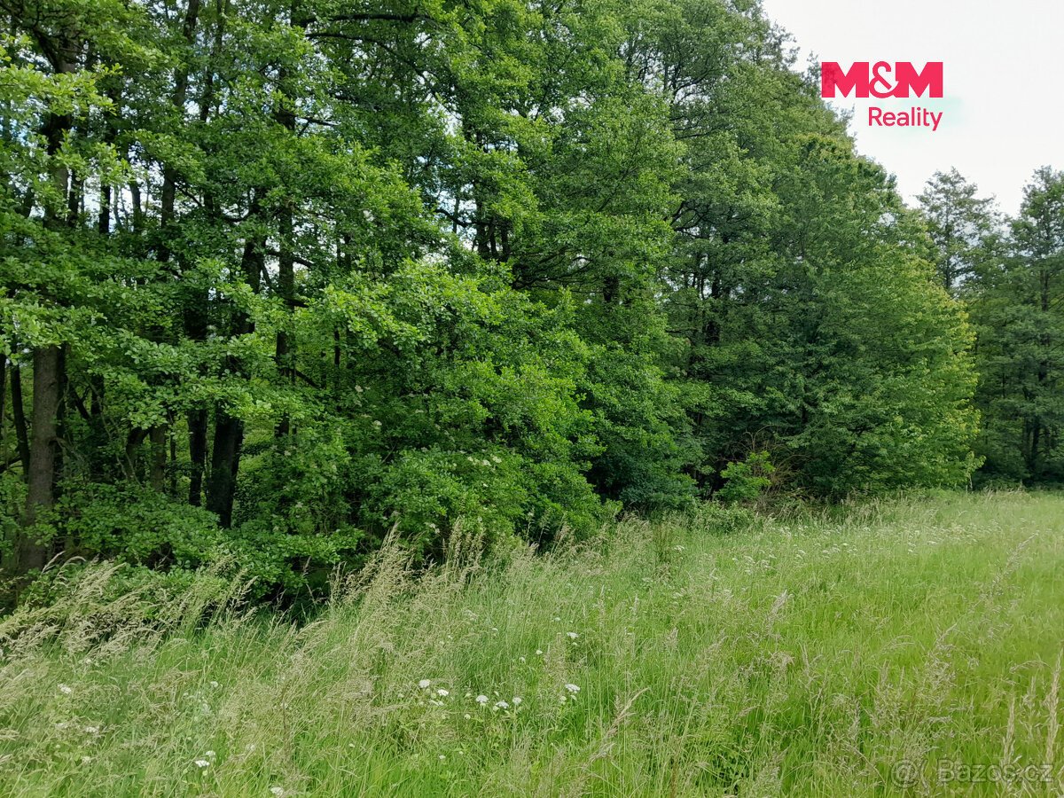 Prodej louky, 19732 m², Oselce