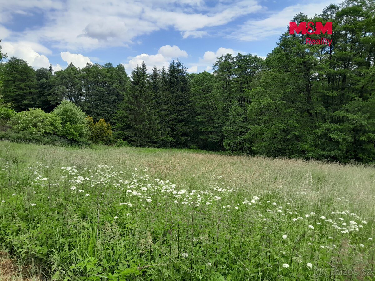 Prodej louky, 19732 m², Oselce