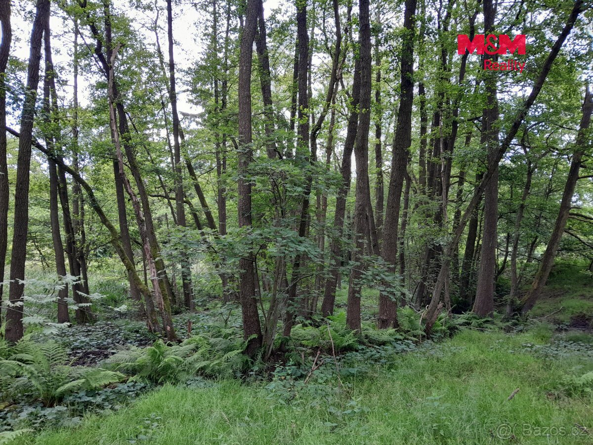 Prodej louky, 19732 m², Oselce