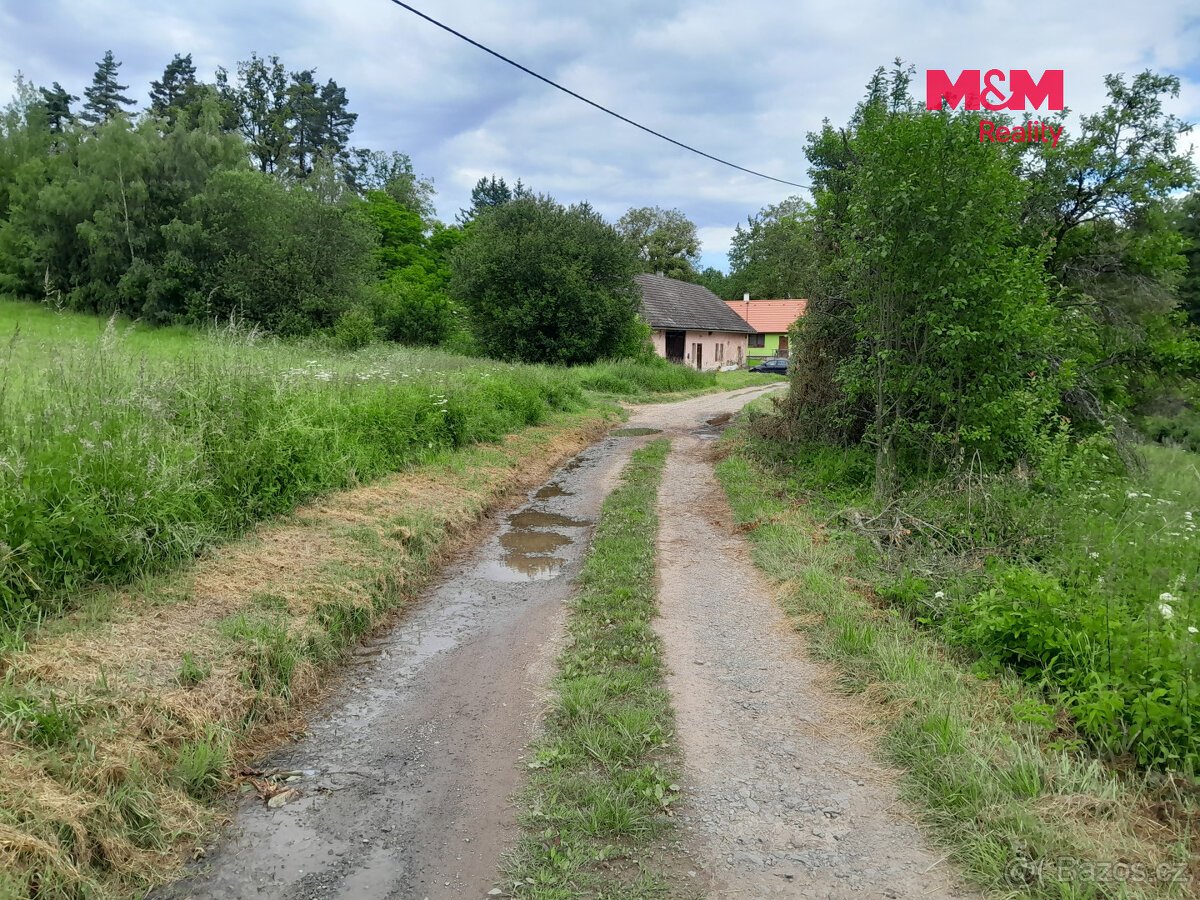 Prodej louky, 19732 m², Oselce