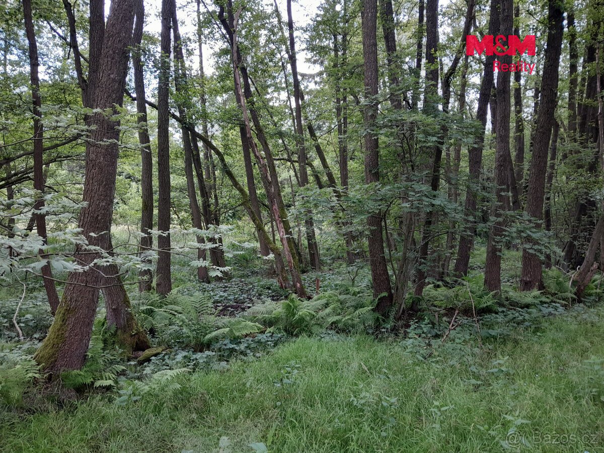 Prodej louky, 19732 m², Oselce