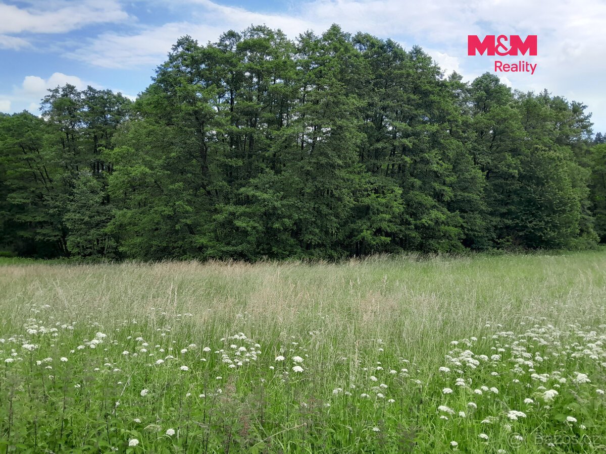 Prodej louky, 19732 m², Oselce