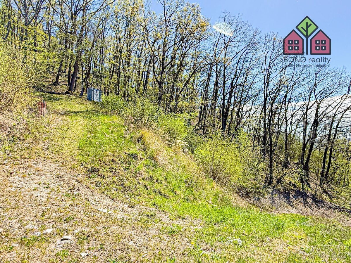 Zahrada, sad, zemědělství s možností výstavby, rozloha 4999 