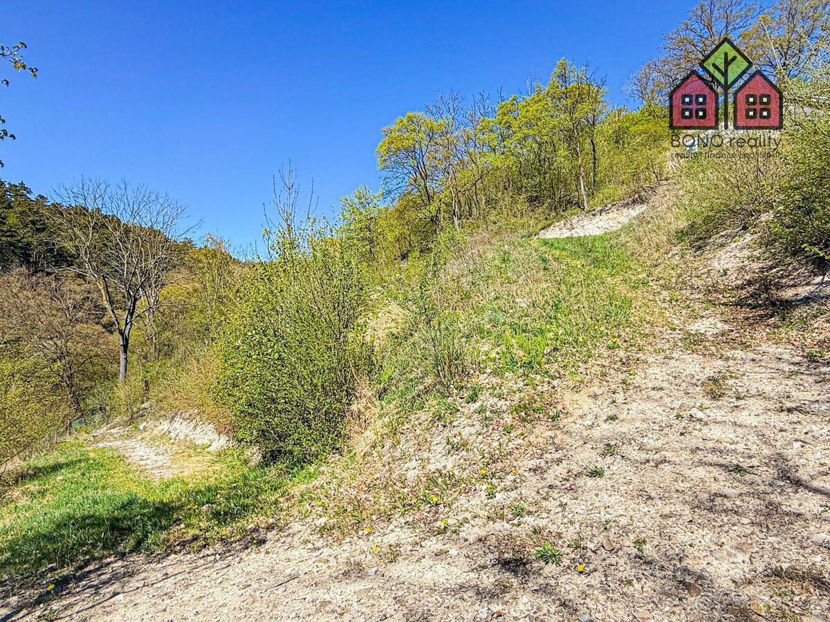 Zahrada, sad, zemědělství s možností výstavby, rozloha 4999 