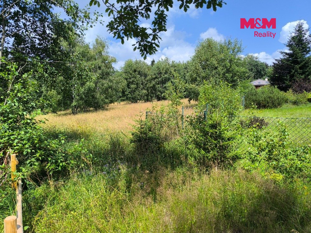 Prodej louky, 1479 m², Nejdek