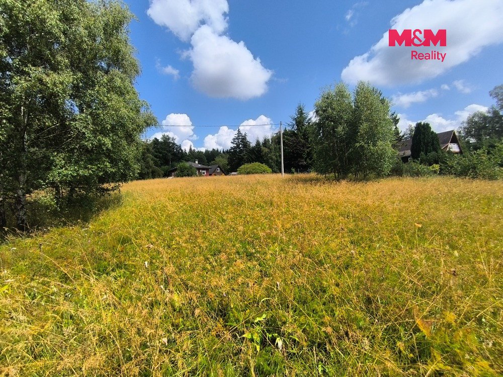 Prodej louky, 1479 m², Nejdek