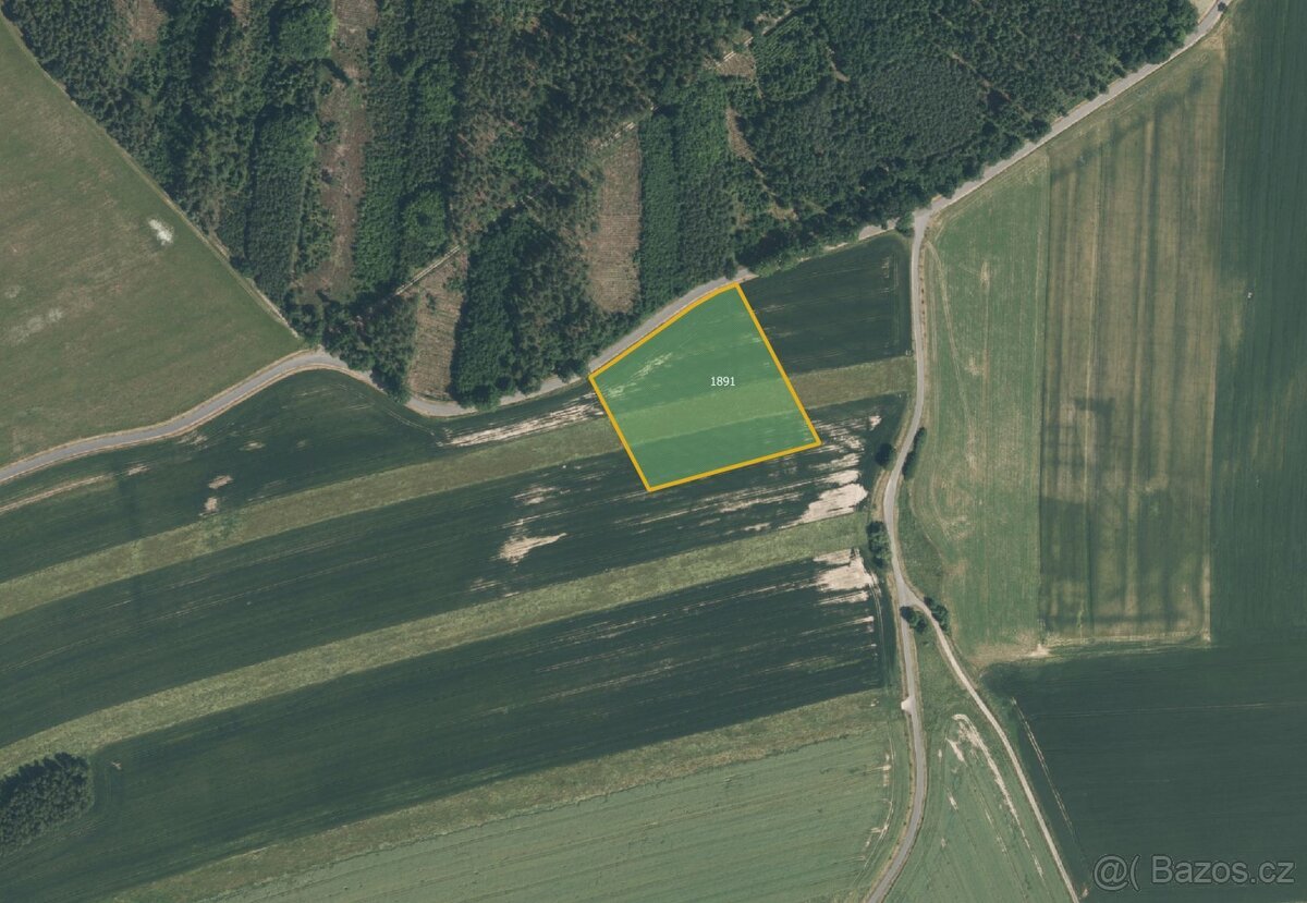 Zemědělská půda, prodej, Biřkov, Klatovy