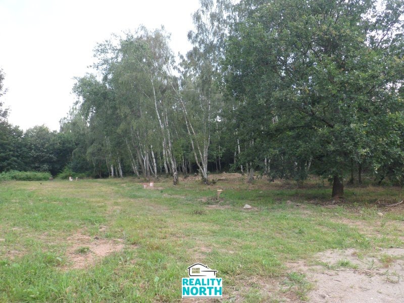Prodej pozemky pro bydlení, 6 184 m² - Dubí - Drahůnky