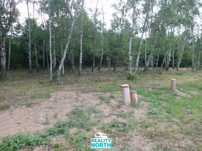 Prodej pozemky pro bydlení, 6 184 m² - Dubí - Drahůnky