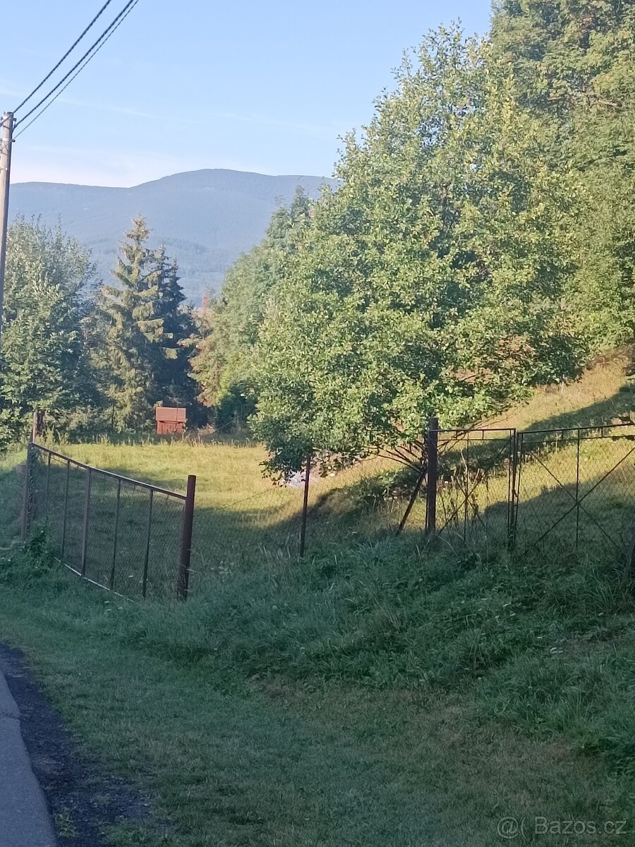 Prodej lukrativního pozemku Jeseník Dětřichov