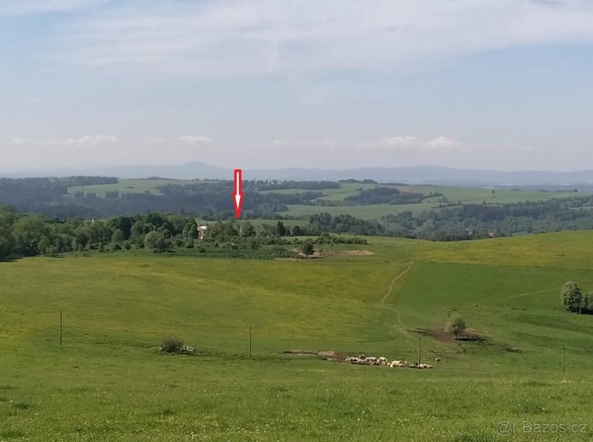 Prodej pozemků na fotovoltaickou elektrárnu.
