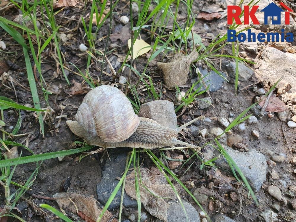 Výjimečná investiční příležitost  téměř 5 hektarů přírody, P