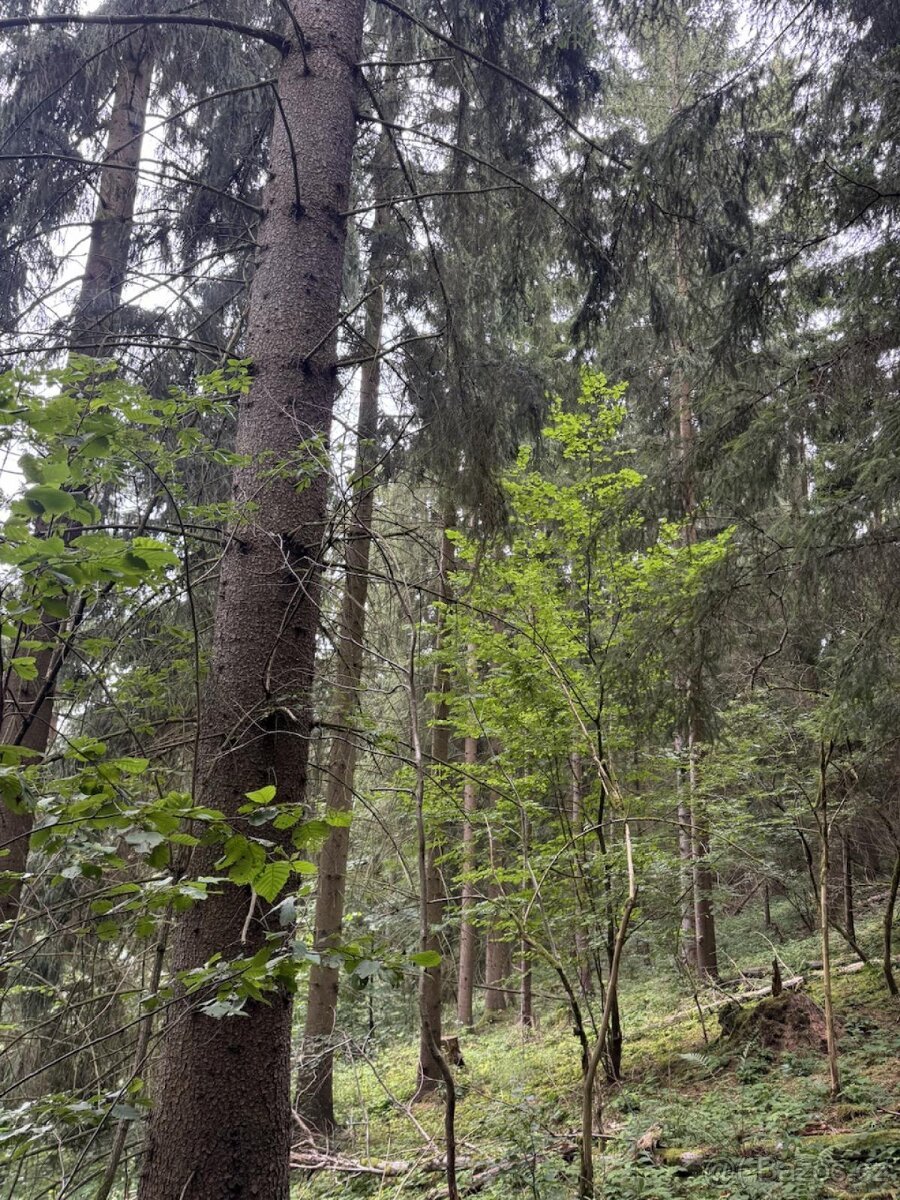 Prodej lpozemků k.ú. Březová u Všelibic