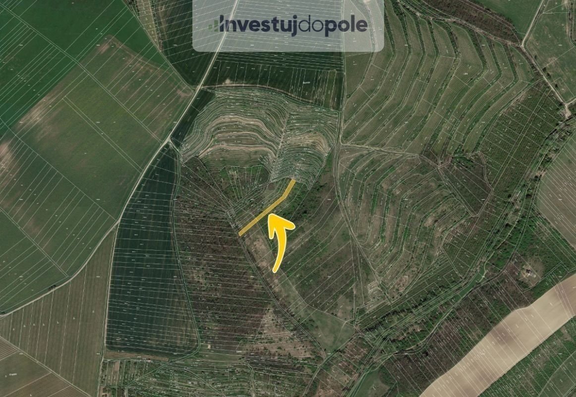 Prodej pole 1 770 m², Hustopeče, ev.č. 2025-06-12-3