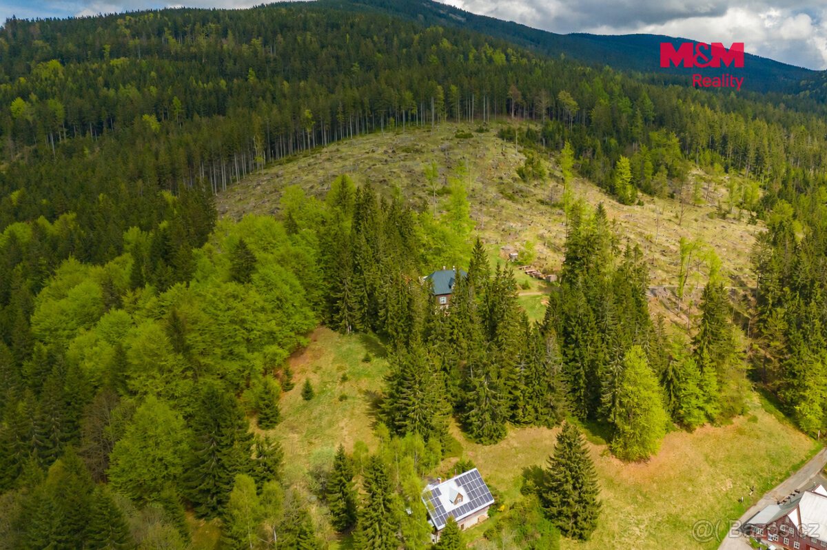 Prodej louky, 8167 m², Harrachov