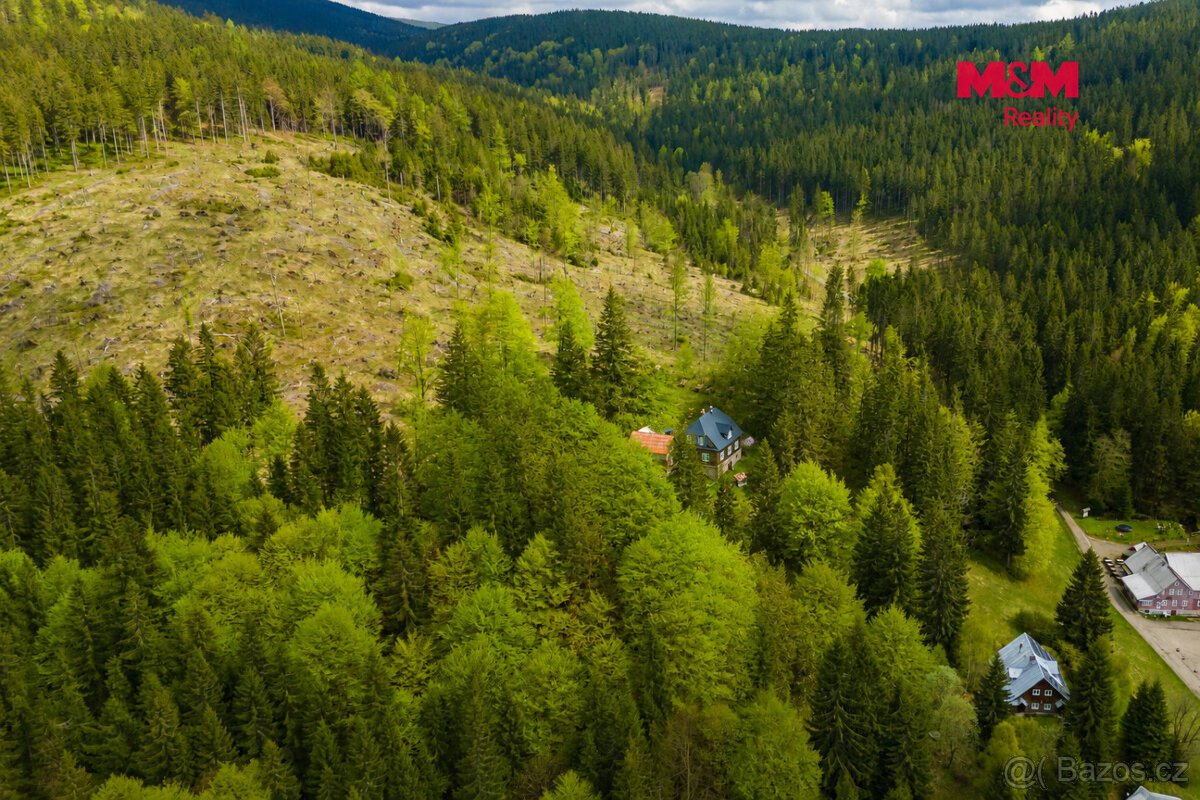 Prodej louky, 8167 m², Harrachov